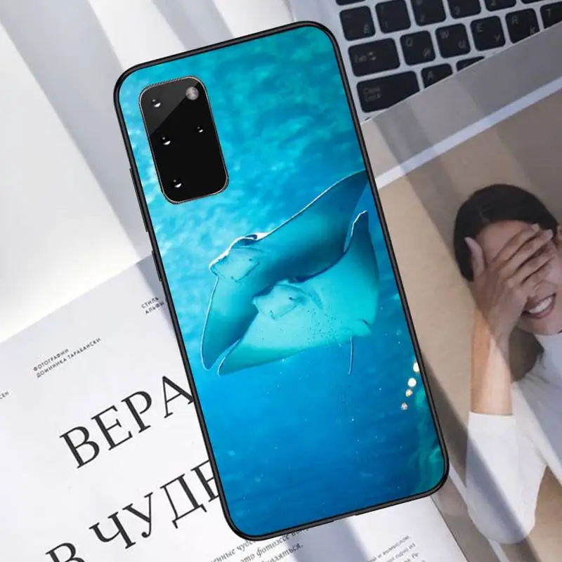 

Animal manta ray Phone Case For Samsung galaxy S 7 8 9 10 20 edge A 6 10 20 30 50 51 70 note 10 plus