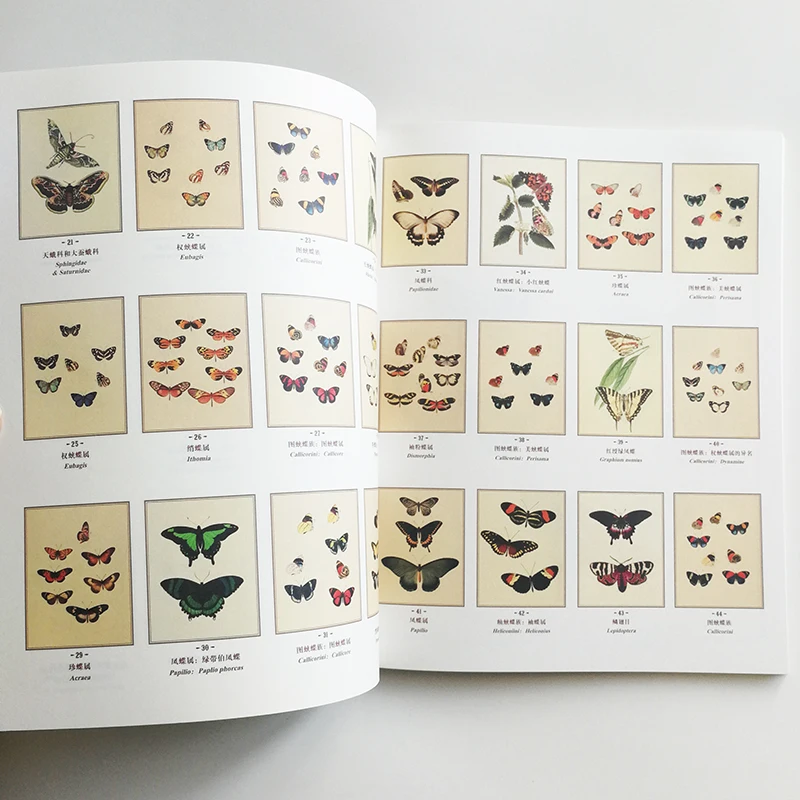 Бабочки-пройдите в музей с раскраской из серии книжки-раскраски для