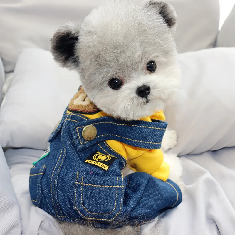 Зимняя одежда для собак Классический наряд домашних животных с медведем теплая