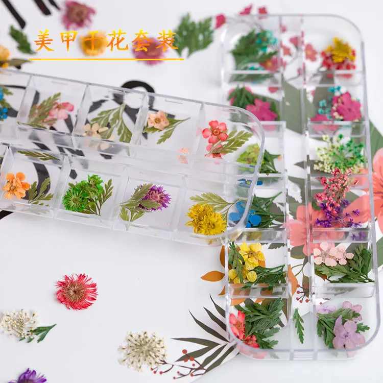 

Mix Dried Flowers Nail Decorations Jewelry Natural Floral Leaf Stickers 3D Nail Art Designs Polish Manicure Accessories