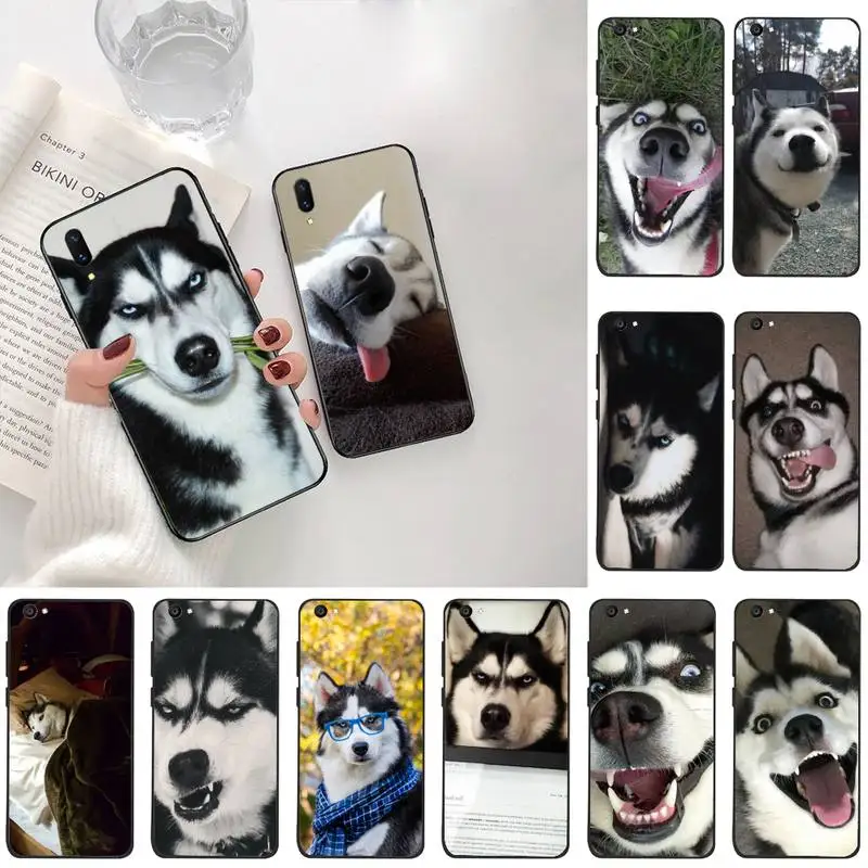 

YJZFDYRM Funny husky Phone Case For Vivo Y91c Y17 Y51 Y67 Y55 Y93 Y81S Y19 V17 vivos5