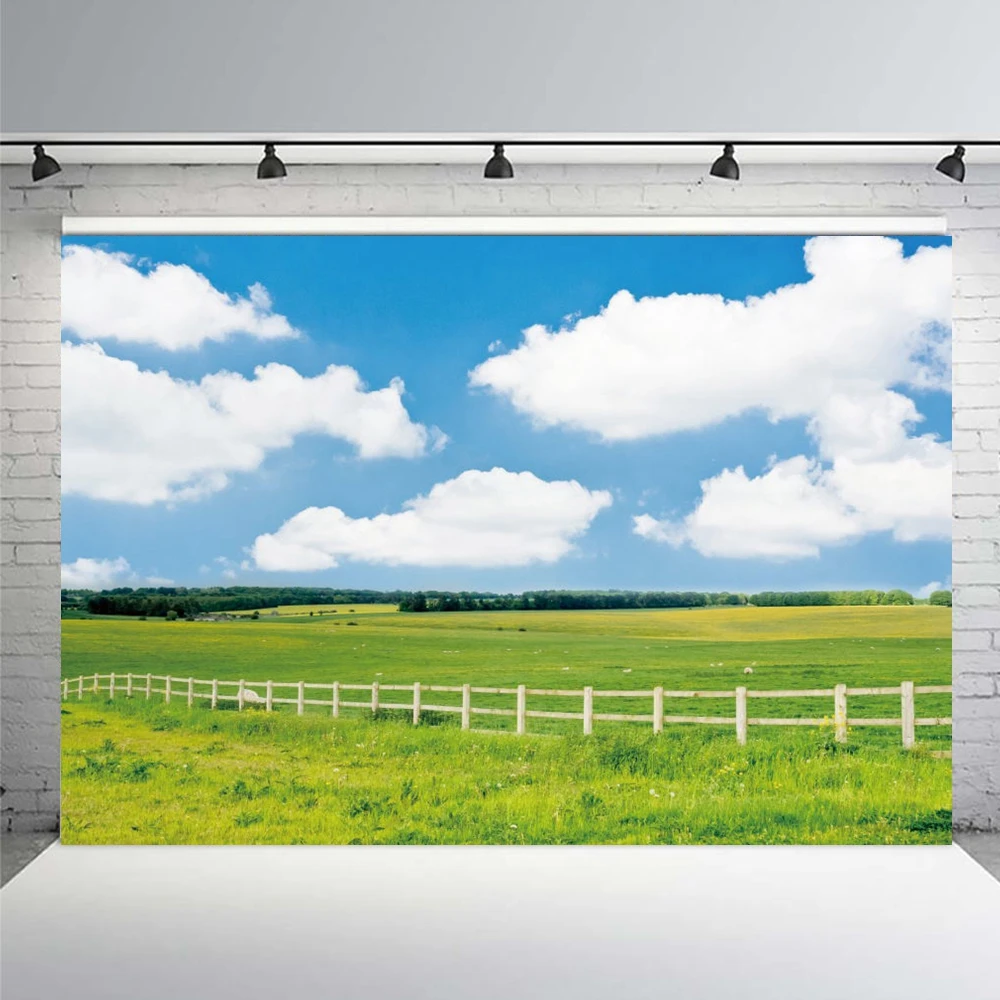 Природный пейзаж Весенняя планга синее небо облака интерьер ребенок портрет