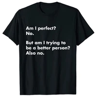 am i perfect no funny t shirt graphic t shirts
