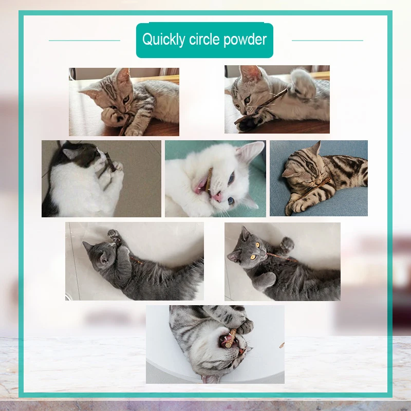 Pet Supplies Kitty Polygonum Capitatum Molars Cat Snacks Edible Toys Tooth Cleaning Stick Increase Appetite Five Pack |