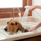 Белый смеситель для ванны, удлинитель для душа, насадка из АБС-пластика, спрей, слив, ситечко, шланг для раковины, мытья волос, принадлежности для душа