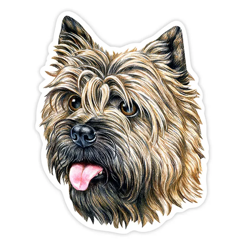 

Various Sizes Self-adhesive Decal Cairn Terrier Dog Car Sticker Waterproof Auto Decors on Bumper Rear Window8cm*8cm