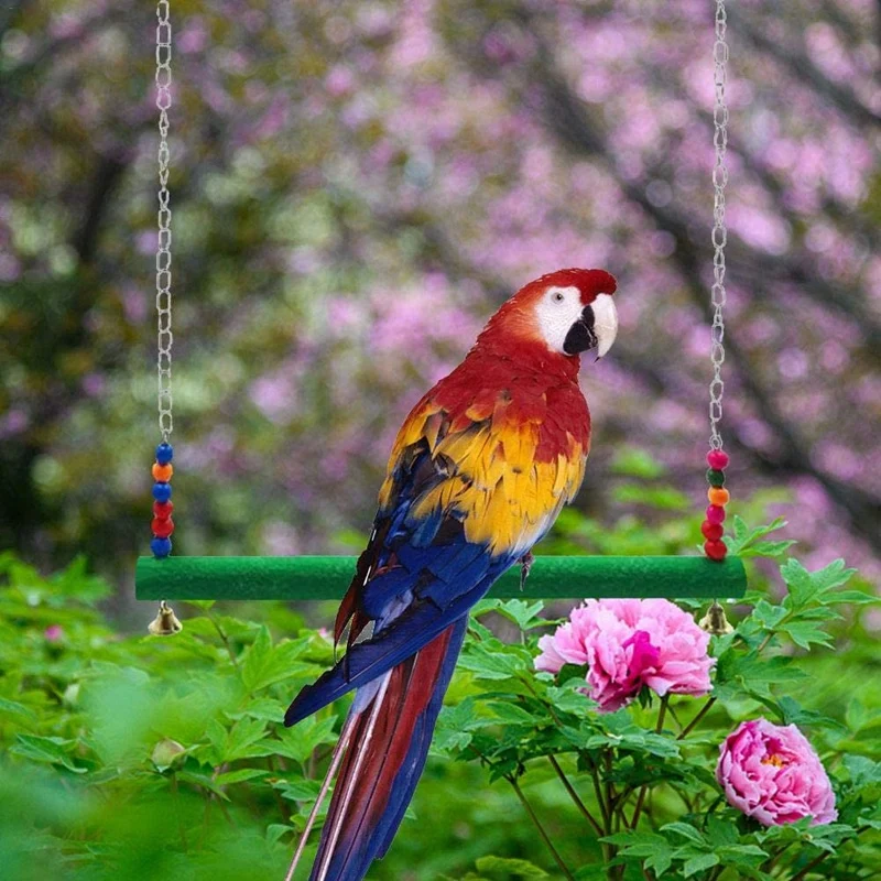 

Chicken Swing Chicken Toy Chicken Toys for Hens Bird Parrot Macaw Hens Swing Ladder for Hens Bird Parrot Trainning