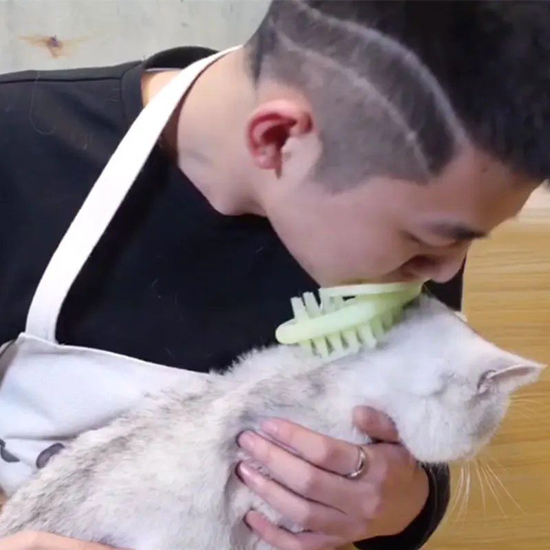 

Интерактивная Расческа для домашних питомцев, щетка для кошек, флуоресцентная расческа для поплавка, расческа для волос