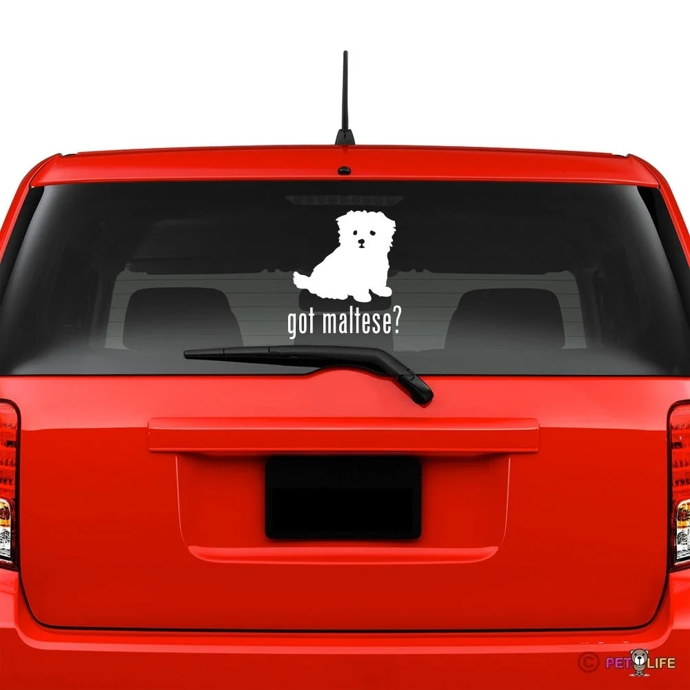 

Got Maltese Windshield Sticker Vinyl Auto Window puppy v2 window decals