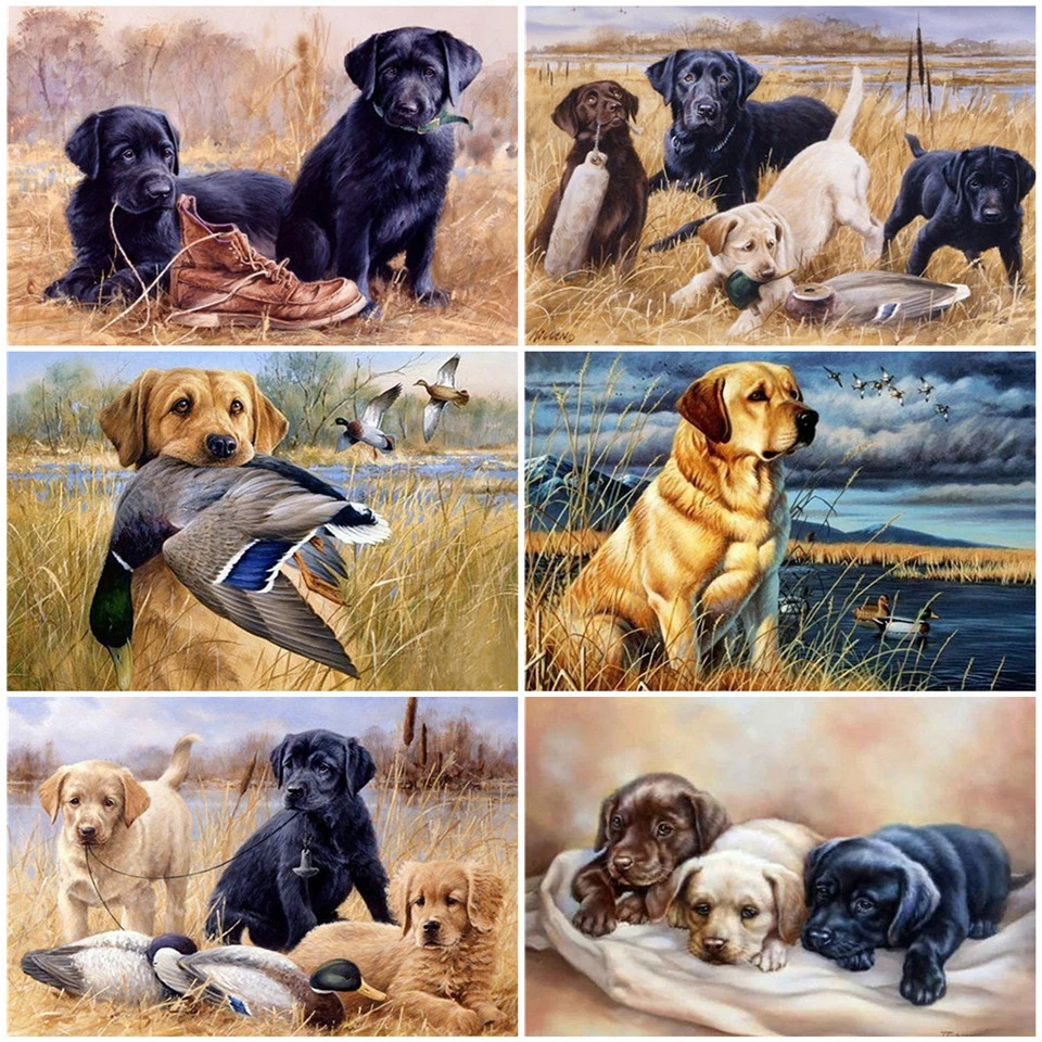 AZQSD Unframe DIY Раскраска по номерам холст животное домашнее украшение масляная