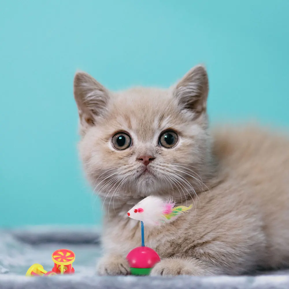 

Cat Toy Stick Feather Wand With Bell Mouse Cage Toys Plastic Artificial Colorful Cat Teaser Toy Pet Supplies for Interactive