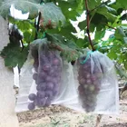 Сетчатый мешок для защиты сада, овощей, винограда, яблок, фруктов, 100 шт.