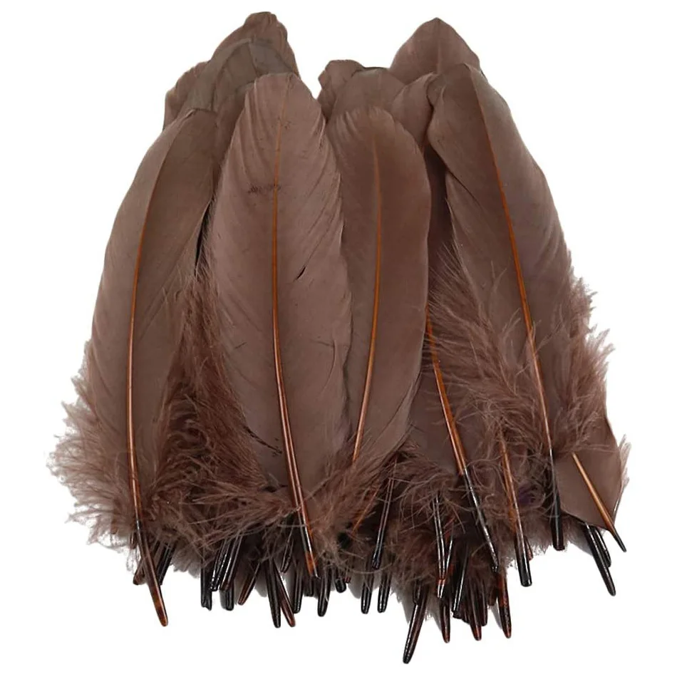 100 шт./лот Твердые Разноцветные перья гусиные для рукоделия натуральные белые