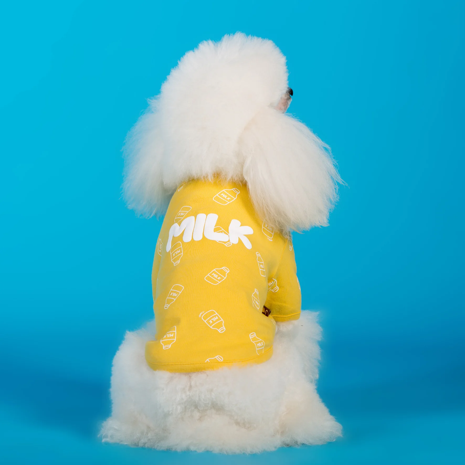 Одежда для собак весенняя одежда домашних питомцев маленьких и средних щенков