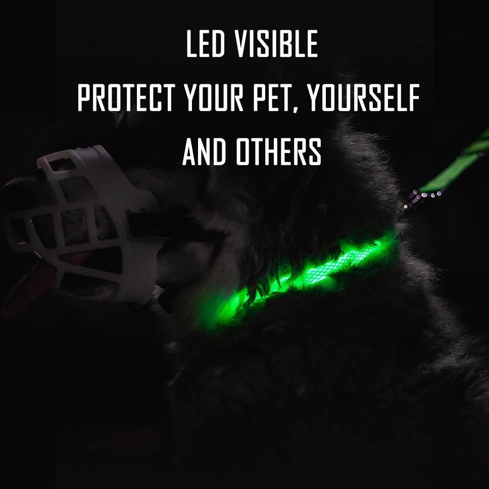 Нейлоновый светодиодный поводок для собак ночная безопасность мигающий