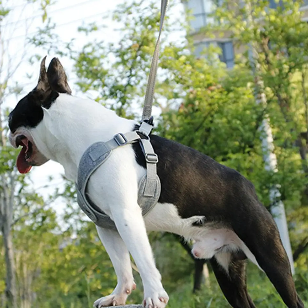 Дышащая шлейка для собаки домашнего животного нагрудный поводок питомца