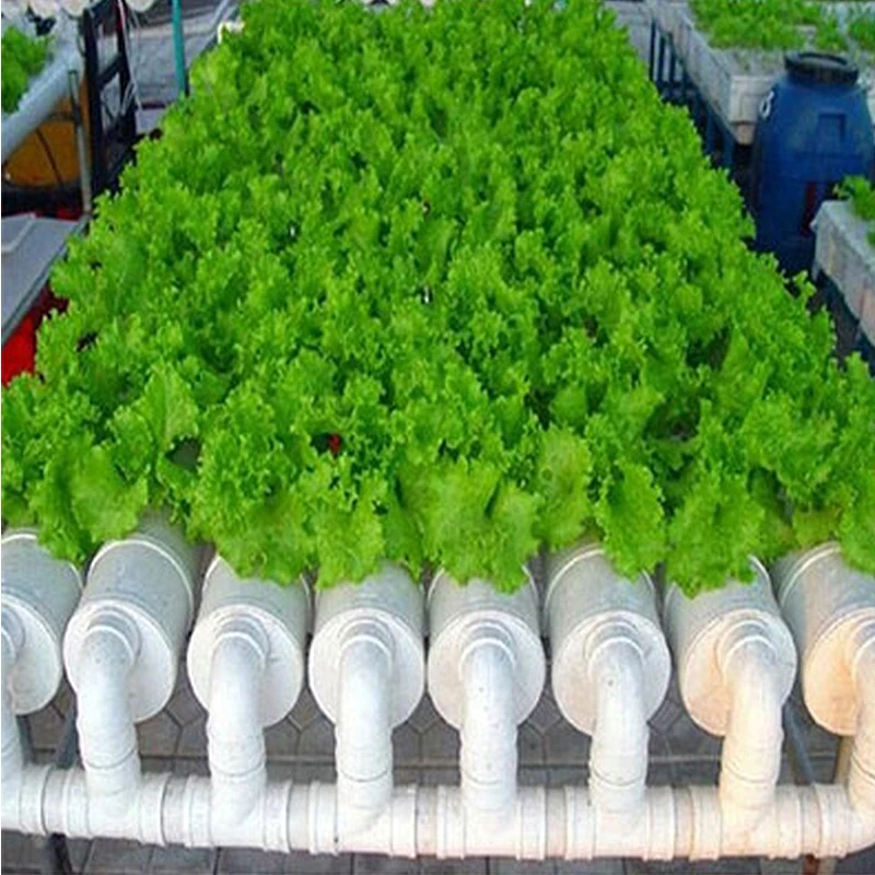 Сверхмощный гидропоники сетчатой горшок чистая чашка корзина аэропонного