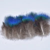 natural iridescent blue peacock feathers for crafts 3 5cm1 2 peacock decor christmas costume plumas carnaval assesoires plume