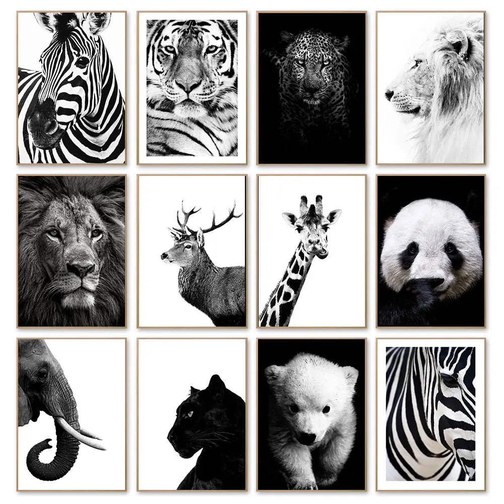 

African Wild Animal Poster Black White Canvas Painting Elephant Tiger Art Print Norbic Wall Picture For Living Room Home Decor