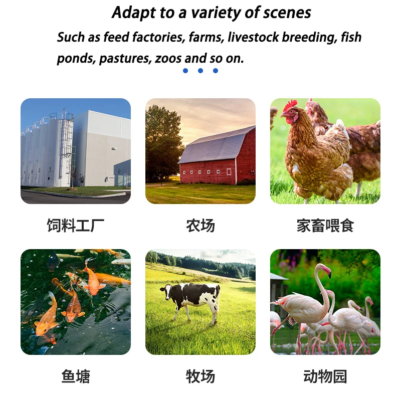 Гранулятор для домашнего зерна оборудование разведения животных устройство