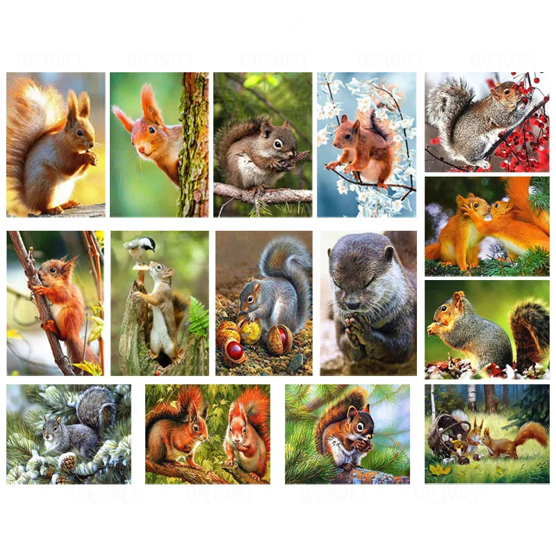 

Full Square/Round Drill 5D DIY Diamond Painting Squirrel Diamond Embroidery Animals Diamond Mosaic Cross Stitch Kit Home Decor