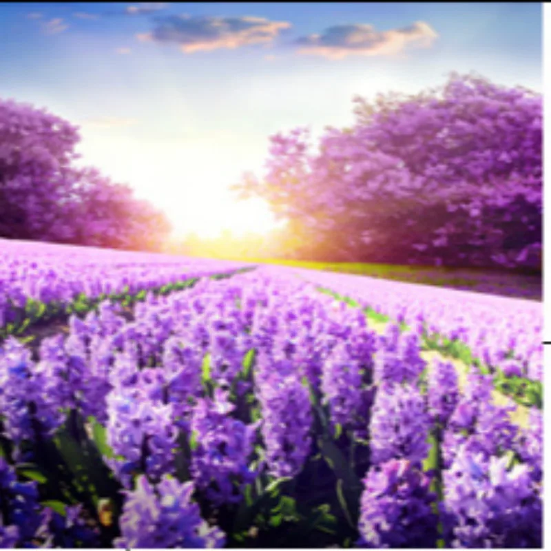 

5D round diamond simple modern triple painting Lavender diamond embroidery living room bedroom diamond painting