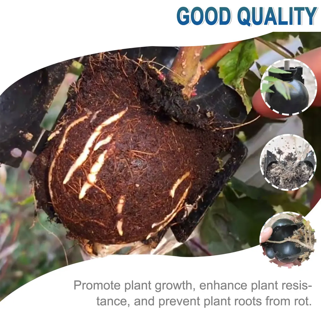 

New 5pcs Plant Rooting Ball Grafting Rooting Growing Plants Breeding Case Plant Root Growing For Garden 5/8/12cm In Diameter