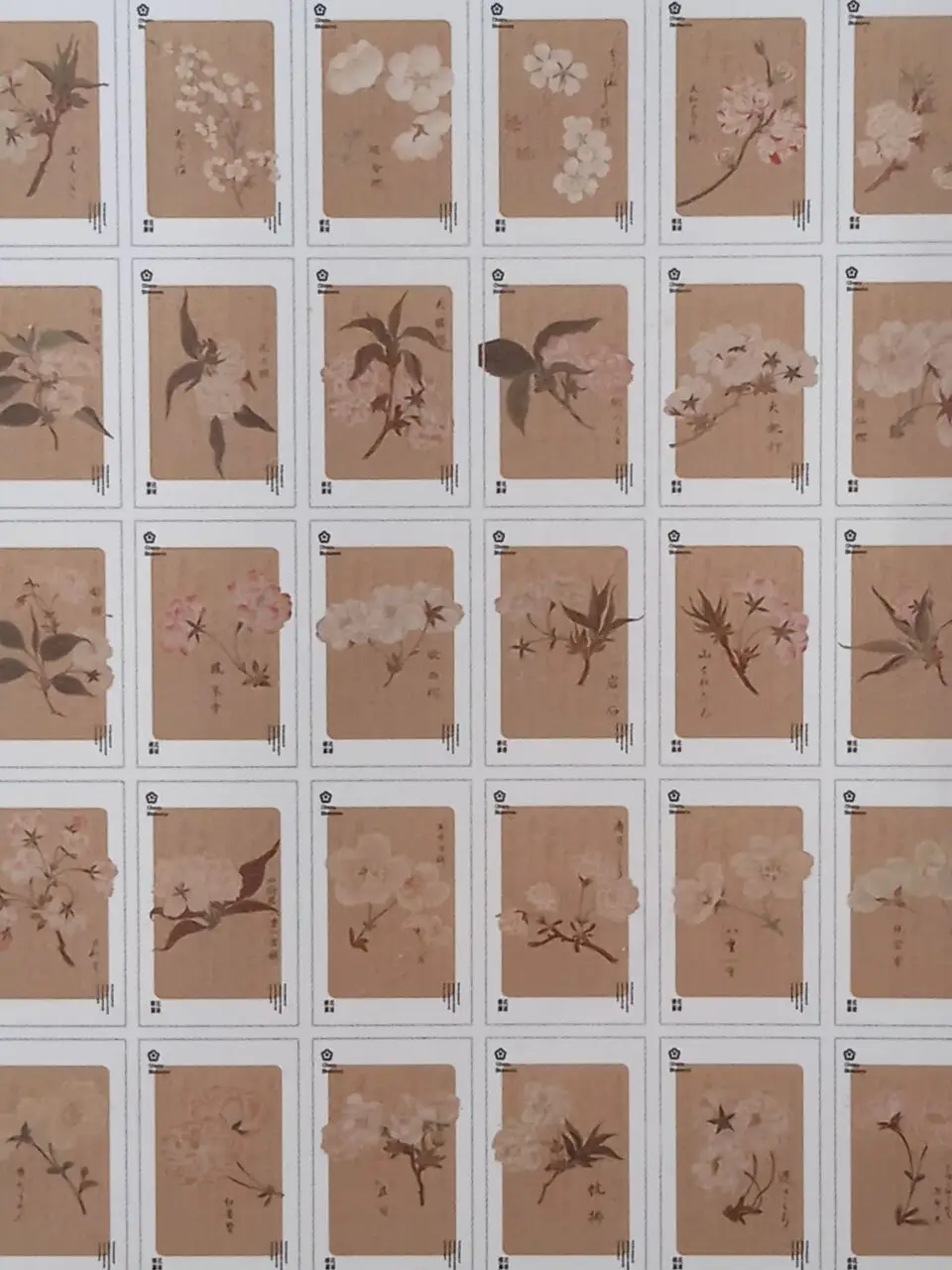 

143mmx93mm brown flower paper postcard(1pack=30pieces)