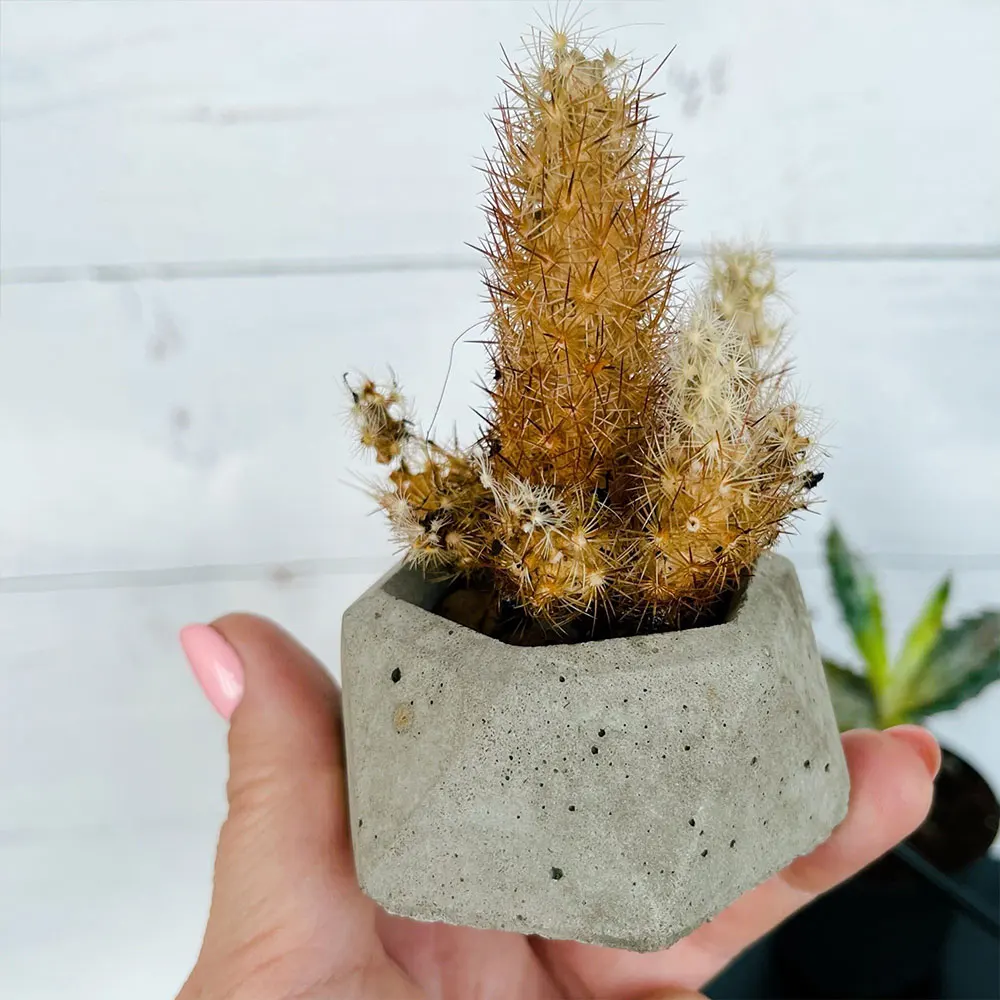 3D силиконовая форма для подсвечника сделай сам цветочный горшок суккулентных