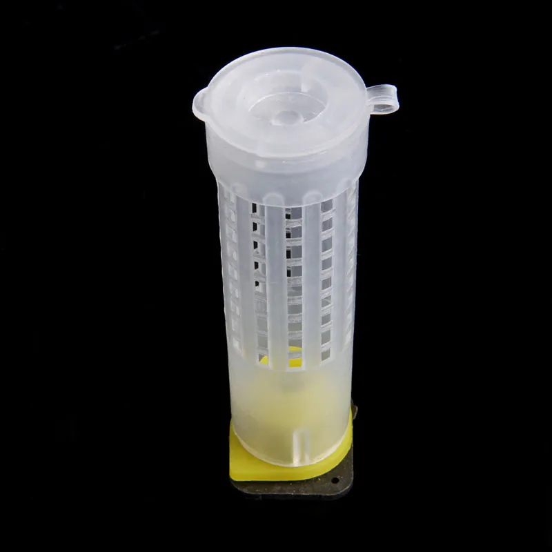 

10x Beekeeping Rearing Cup Kit Bee Queen Cages Roller Beekeeper Equipment Tool