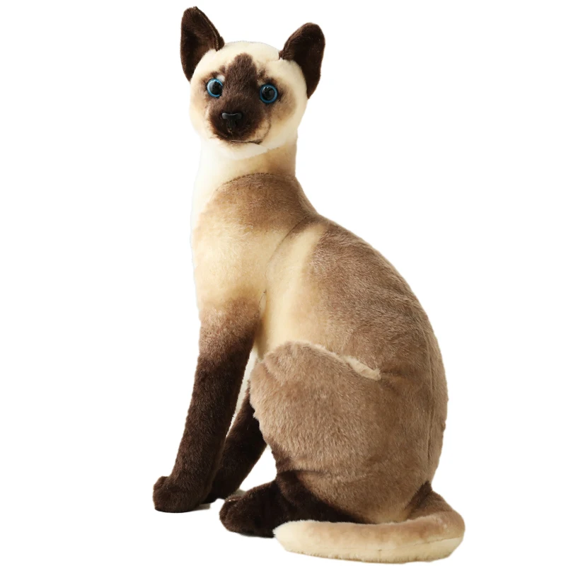 Игрушка плюшевая кошка американская коротайская сиамская кукла рагдолл