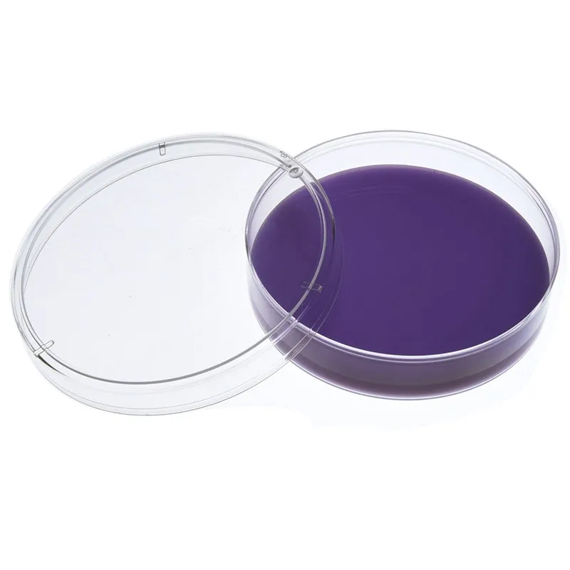 

Plastic Petri Dish Sterile Dishes with Lid, 100 mm and 60 mm, 20 Pcs