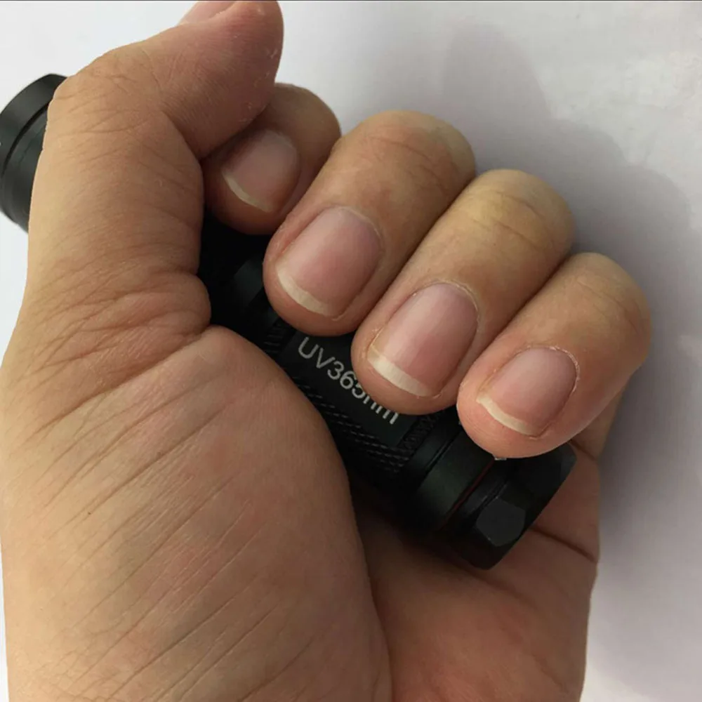 

Zoomable Led UV Flashlight Torch Light 365nm Ultra Violet Light Blacklight UV Lamp AA Battery For Marker Money Cash Detector