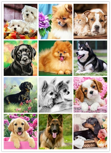 

Full Round/square Diamond Painting Dogs 5D DIY Animals Embroidery Pictures Cross Stitch Art Kit Handmade Gift Home Decoration