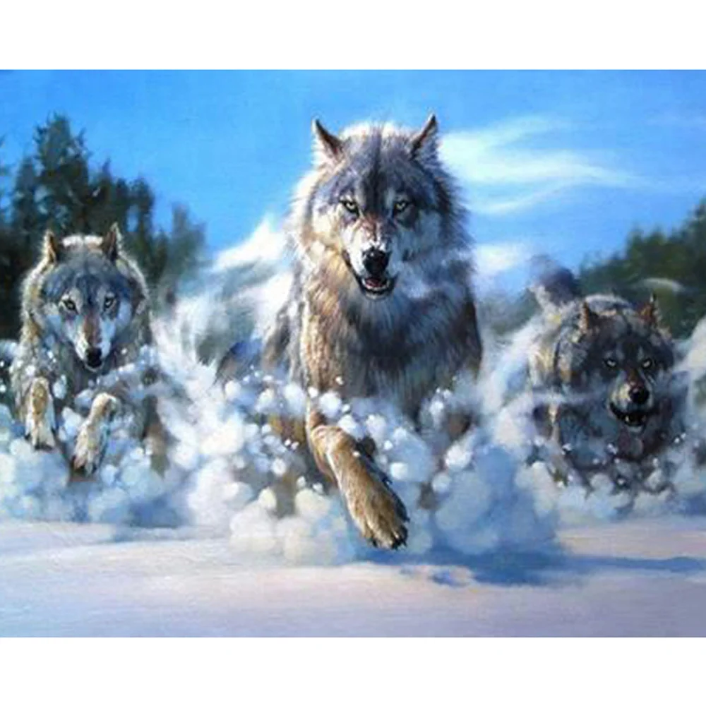 5d алмазная живопись с волком картина полным рисунком вышивка крестиком круглые