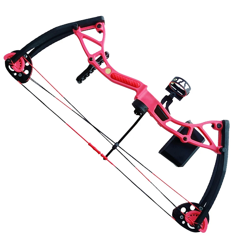 

10-20 Lbs Children Compound Bow Draw Length 17-26 Inches Gift for Archery Shooting Hunting