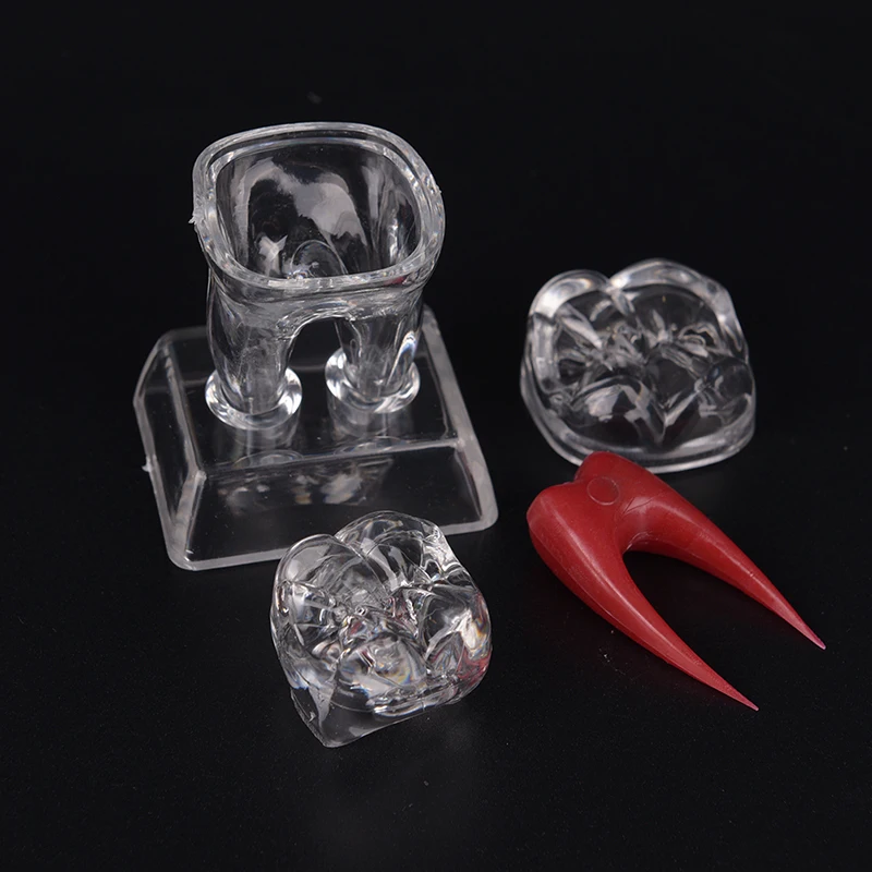 

1pcs New Small Dentist Dental Crystal Base Hard Plastic Teeth Tooth Molar Model Separable 5.5cm*4.3cm*7cm