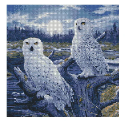 

Набор для вышивки «Две совы в лунном свете», вышивка 14 карат, вышивка без рисунка, высококачественное украшение ручной работы «сделай сам»