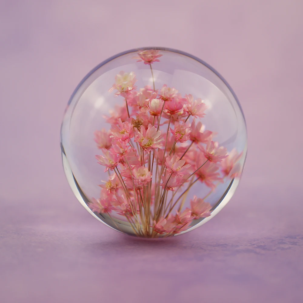 

Real Red Daisy Crystal Glass Resin Lens Ball Natural Plants Flowers Specimen Christmas Love Mum Gift With Box Home Decor Globe