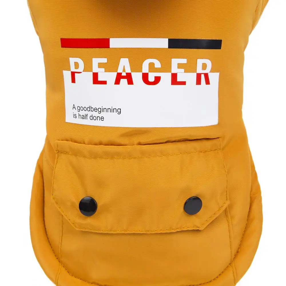 Зимняя одежда для собак | Дом и сад