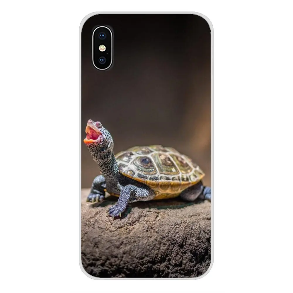 Аксессуары чехлы для телефонов милые маленькие Черепашки Xiaomi Redmi Note 3 4 5 6 7 8 Pro Mi Max