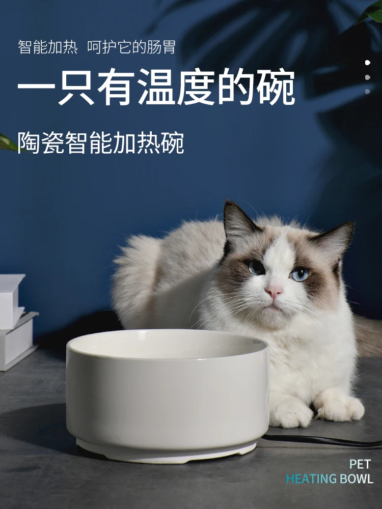 

Pet Products