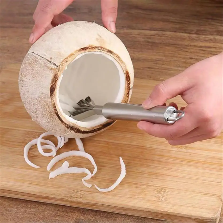 

TTLIFE Coconut Shaver Stainless Steel Kitchen Fruit Tools Fish Skin Scale Scraper Peeler Cleaning Tool Kitchen Accessories