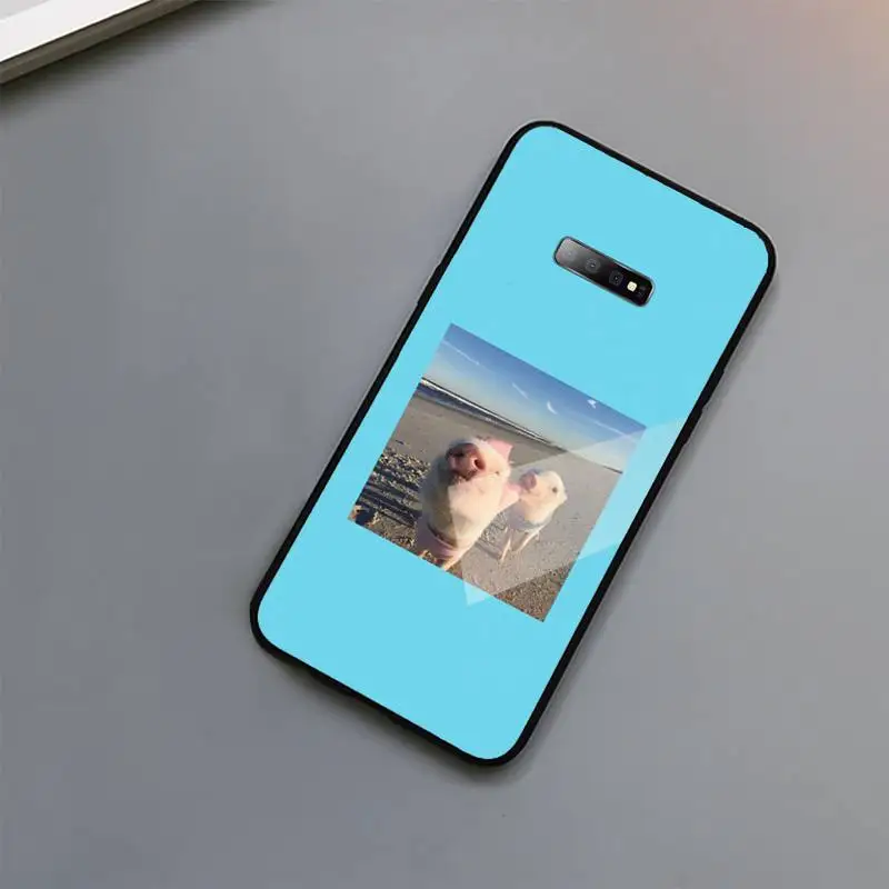 

Pet pig cute animal cover funda coque Phone Case Tempered glass For Samsung S6 S7 edge S8 S9 S10 e plus note8 9 10 pro