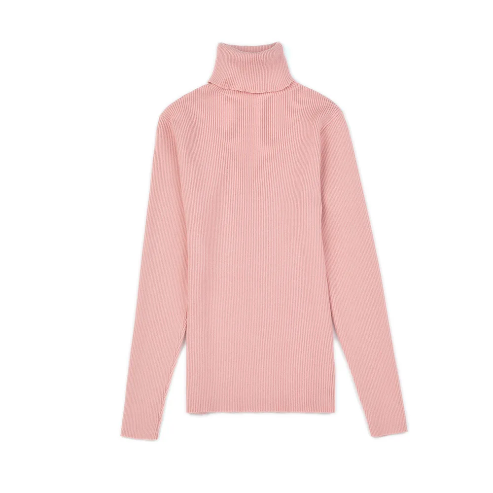

HLBCBG New chic Autumn winter Sweater Pullovers Women Long Sleeve casual warm basic turtleneck Sweater female knit Jumpers top
