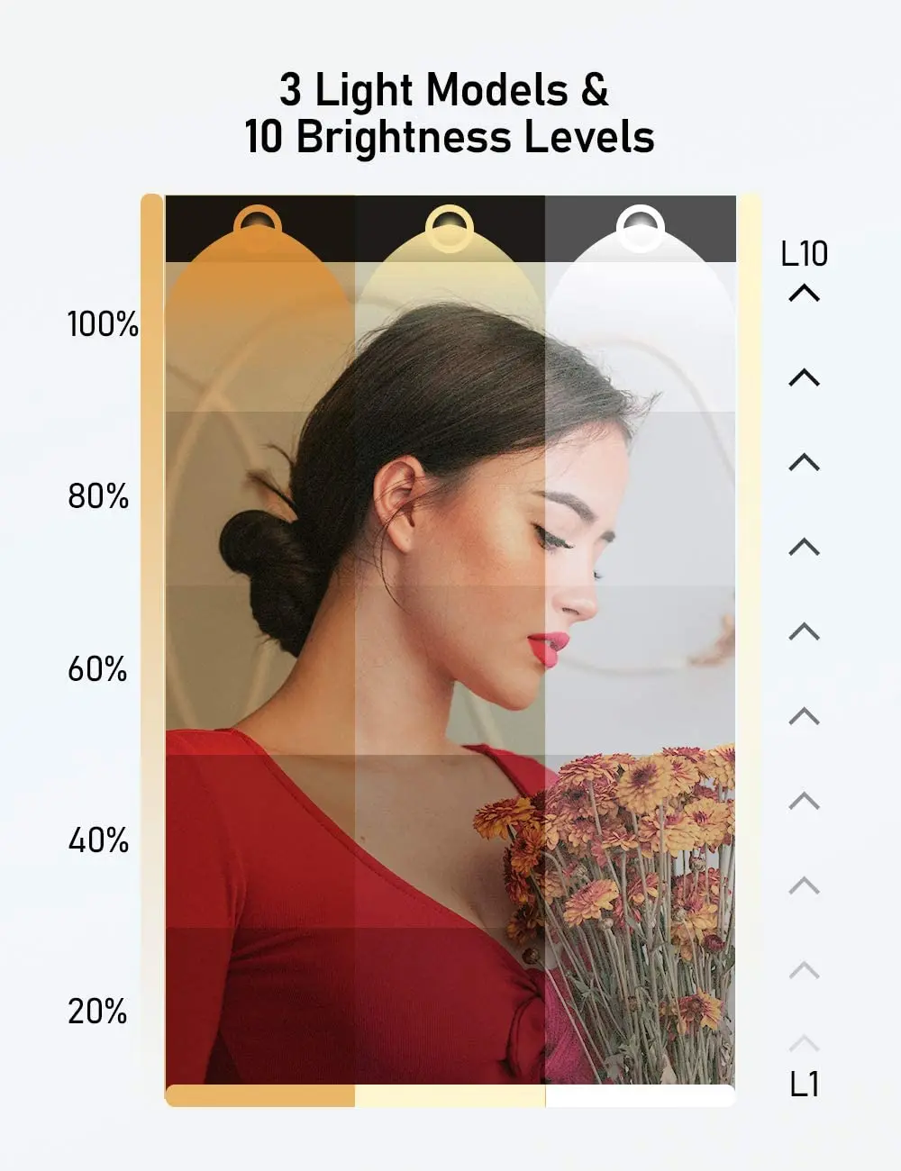 Кольцевой светильник 10 дюймов со штативом и регулируемой яркостью кольцевой для