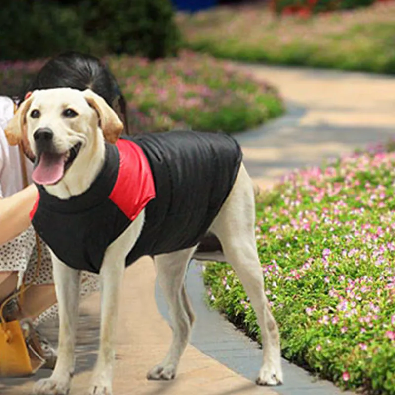 Лыжный костюм для собак новинка осень зима хлопковый жилет домашних животных