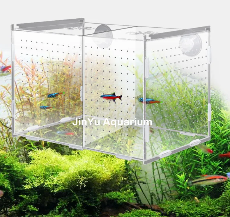 Guppy baby sick fish отдельная коробка аквариумная рыбка закрывающаяся коробка инкубатория изолированный защитный отдельный блок arcylic аквариум