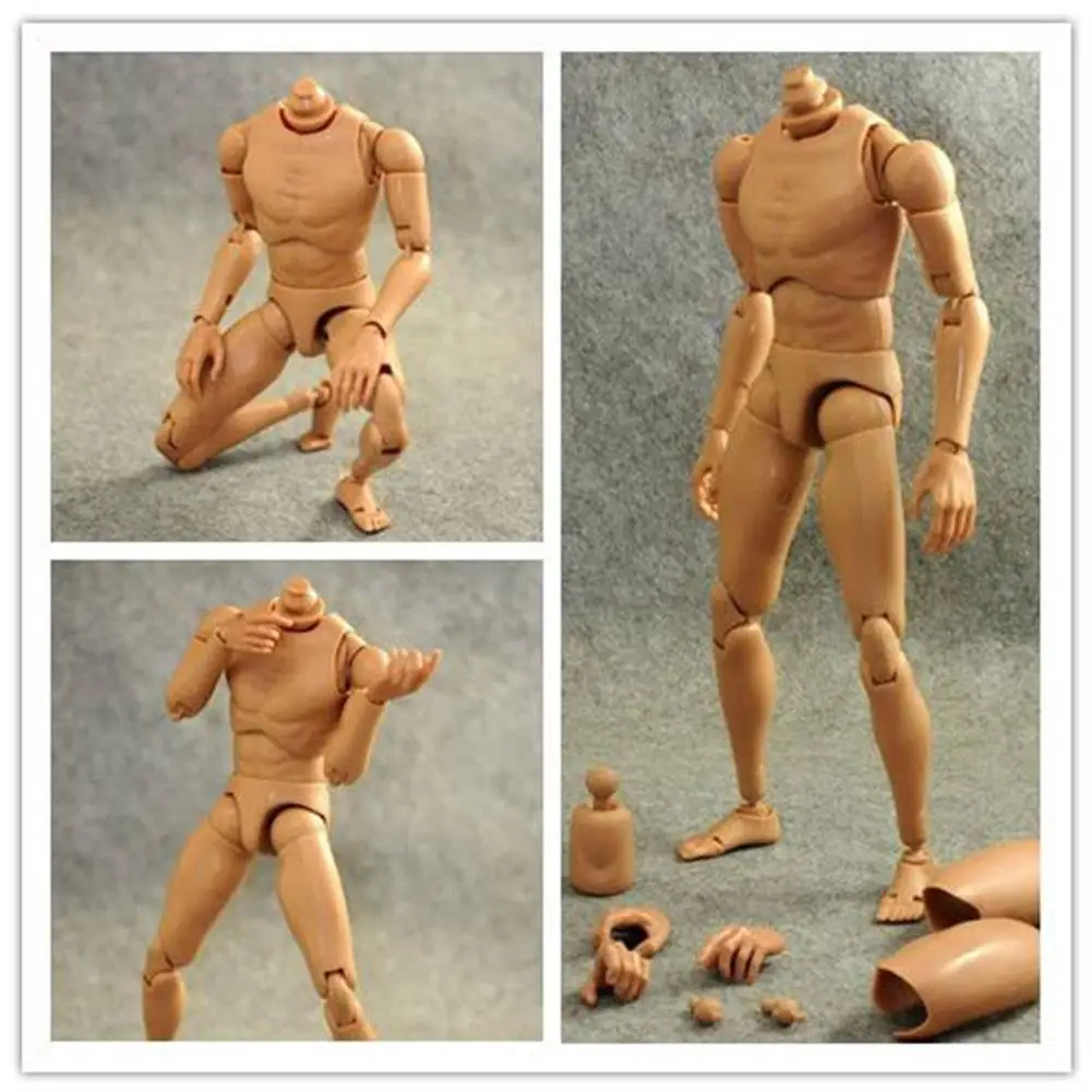 

Montessori Human Body Narrow Shoulder Body Body Skin Color 2021 Improved Body
