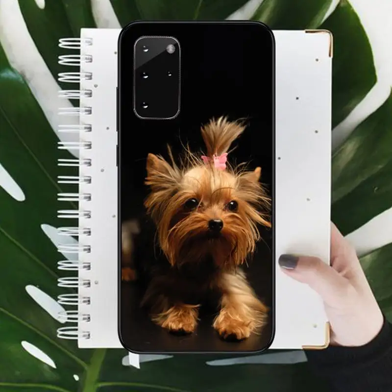 

Yorkshire Terrier cute dog Phone Case For Samsung galaxy S 9 10 20 A 10 21 30 31 40 50 51 71 s note 20 j 4 2018 plus